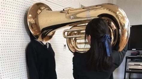 Girl Putting Tuba On Girls Head Image Gallery Sorted By Score List