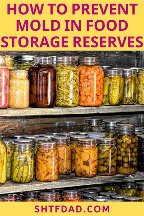 What works best for you? How to Prevent Mold in Food Storage Reserves | Food, Food ...