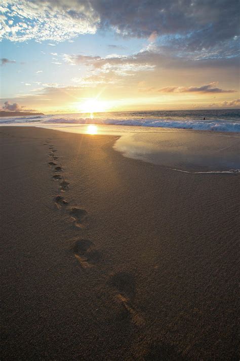 Footprints On The Beach At Sunset Photograph By Panoramic Images Pixels