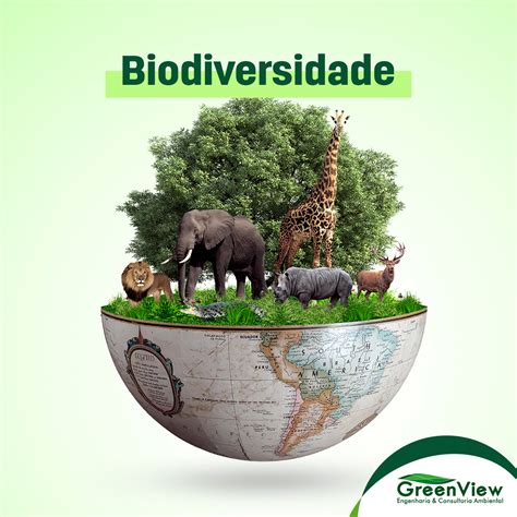 Biodiversidade Greenview Engenharia Ambiental