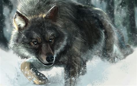 Brown And Black Wolf Wolf Snow Animals Wildlife Hd Wallpaper