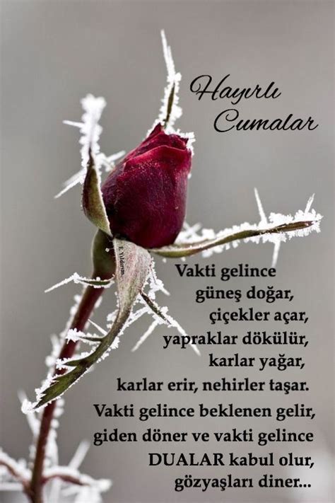 Sayfamızda en güzel anlamlı cuma mesajları 2019 yazılı, hayırlı cumalar mesajları, en şık cuma günü mesajları, en güzel cuma mesajları, anlamlı özel cuma mesajları, mübarek cuma mesajları. Cuma mesajı | Dualar, Özlü sözler, Mesajlar
