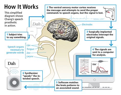 Brain Machine Interface Could Give Voice To The Voiceless Discover