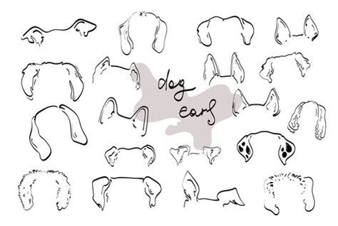 Share More Than 70 Minimalist Dog Ear Outline Tattoo Best Vn