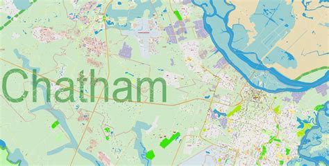 Savannah And Chatham County Georgia Pdf Map Vector Exact City Plan