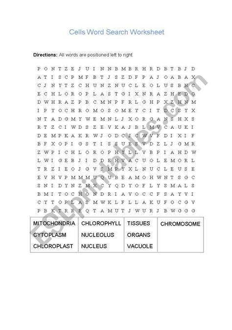 English Worksheets Cell Wordsearch
