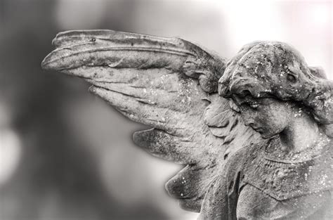Statues Of Angels Free Stock Photo Public Domain Pictures