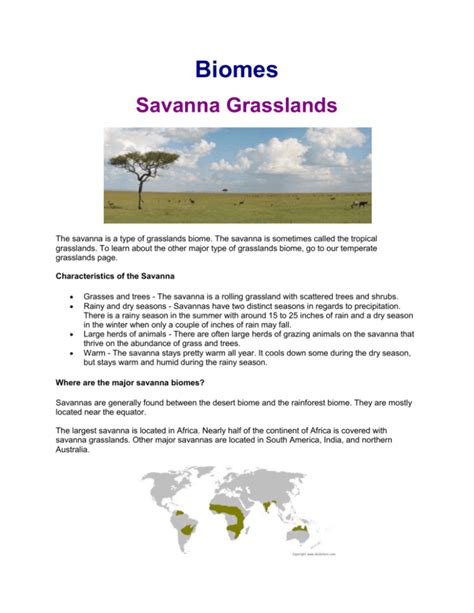 Biomes Savanna Grasslands
