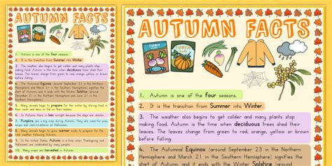 Autumn Information Poster Teacher Made