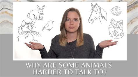 Are Some Animals Harder To Talk To Than Others Animal Communication