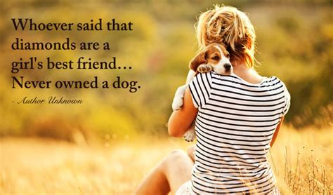 Love your pets...Care for your pets. | Inspirational pets, Animal