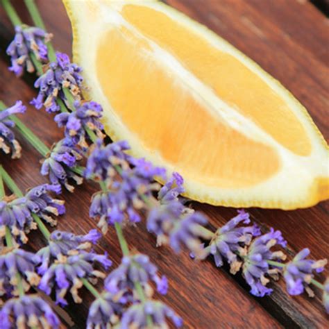 Cedar Leaf And Lavender Type Fragrance Oil The Flaming Candle Company