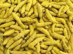 Salem Turmeric Finger For Food At Rs 70 Kg In Washim ID 11126853688