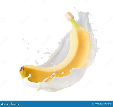 Banane Im Milchspritzen Lokalisiert Auf Einem Weißen Hintergrund