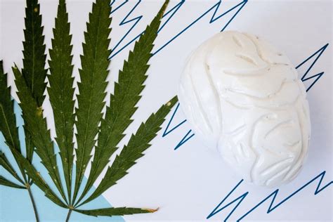 May 06, 2020 · updated on may 6, 2020. How to Get Your Medical Marijuana Card in Texas | Leafbuyer