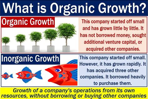What Is Organic Growth Market Business News