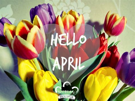 Hello April! What are you excited for this month? | Hello april, April quotes, April flowers
