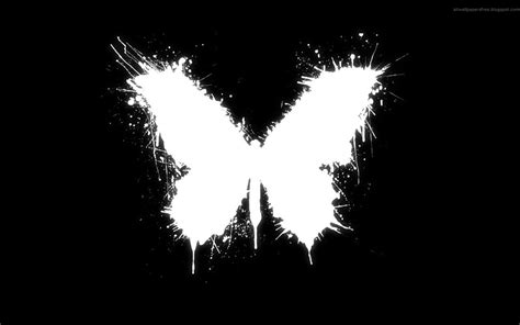 Black & White - Butterfly Wallpaper and Background Image | 1680x1050