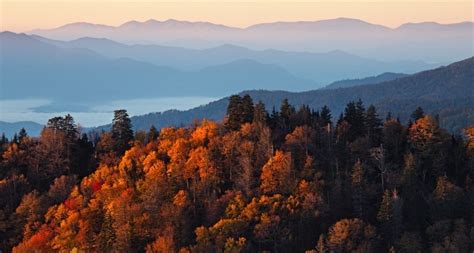 The 3 Best Luxury Cabins In The Smoky Mountains To See Fall Colors