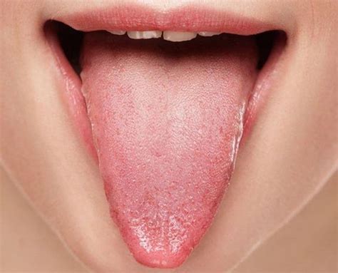 Partes Lengua En qué partes se divide la lengua Abaden dentistas