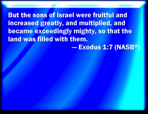 Exodus 17 And The Children Of Israel Were Fruitful And Increased
