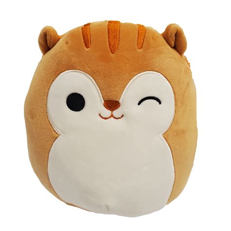 7 Squishmallow Squirrel Quigley My Inner Baby