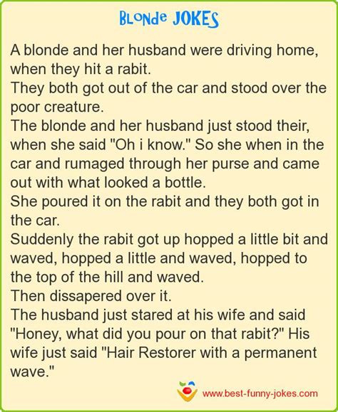 Blonde Jokes A Blonde And Her Hus