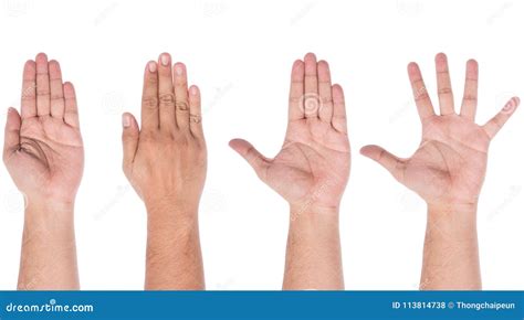 Male Hand Showing Five Fingers Stock Photo Image Of Open Number