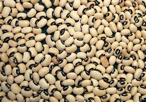 Difference Between Legumes And Beans Compare The Difference Between