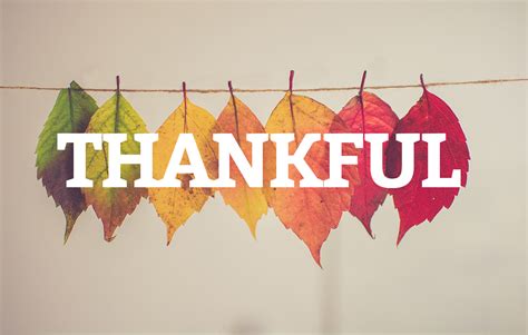 Thankful for ALL things? - Housing and Homeless Supports