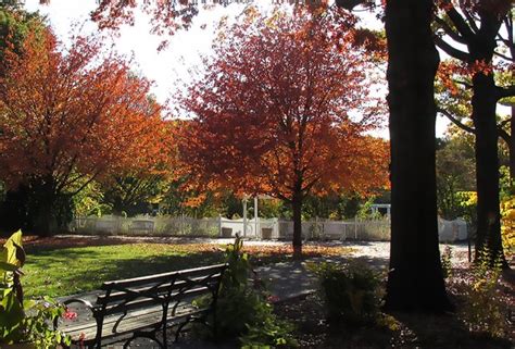 10 Great Places For Fall Leaf Peeping Right In Nyc Mommypoppins