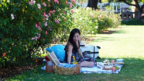 How To Host A Perfect Picnic Mikialamode
