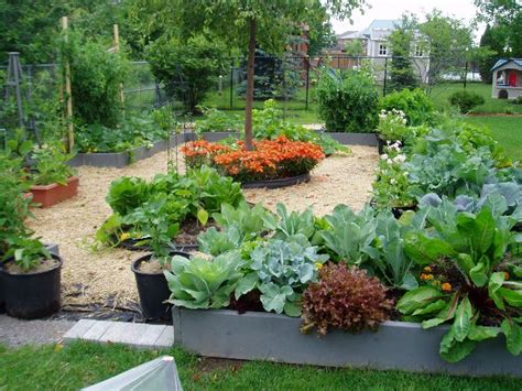 69 Best Vegetable Garden Design Le Potager Images On Pinterest
