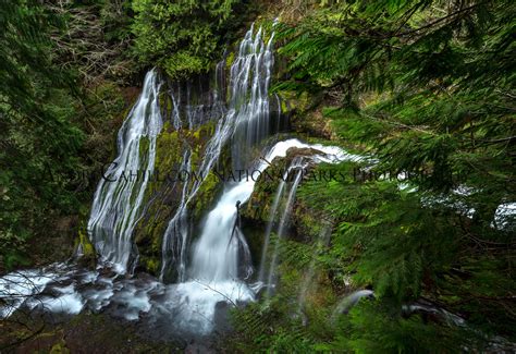 Panther Creek Falls Wa Usa National Park Photography