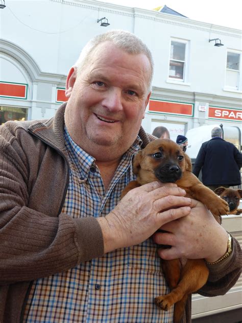 Listowel Connection: Irish in English daily use, an old Horse Fair and