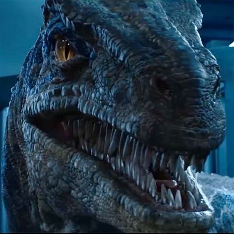 Velociraptor All The Jurassic Park Dinosaurs Ranked