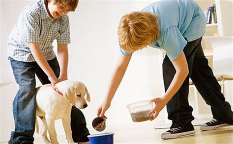 Dog feeding charts can be found right on your dog food packaging. Puppy Feeding Tips for New Dog Owners