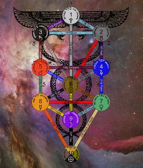 Kabbalah Tree Of Life And Caduceus Overlay Sacred Geometry