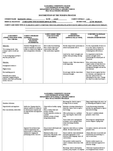 Plan 2020 (klsp 2020) emphasizes goal 3 that the vision and goals of kuala this vision is a commitment that to enhance the city living lumpur have been formulated with. GET Care Plan for Schizoaffective Disorder | PDF ...