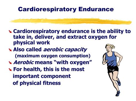 Ppt Chapter 3 Increasing Cardiorespiratory Endurance Powerpoint Presentation Id6534525