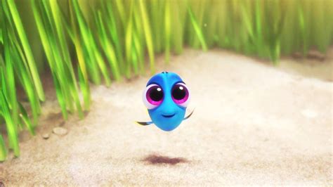 Finding Dory Wallpapers Top Free Finding Dory Backgrounds