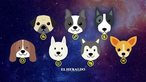 Fotos ¿qué Raza De Perro Eres De Acuerdo Con Tu Signo Del Zodiaco