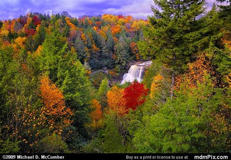 Gentle Trail Overlook With Red Spruce And Fall Color Picture