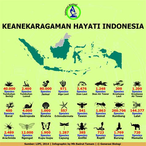 Tingkat keanekaragaman hayati dan contohnya. Fakta dan Data Keanekaragaman Hayati di Indonesia ...