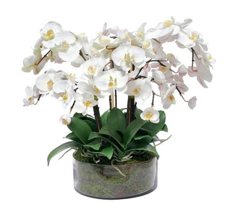Faux Phalaenopsis Orchid In Open Glass Vase Pottery Barn Orchid Centerpieces Faux Flowers