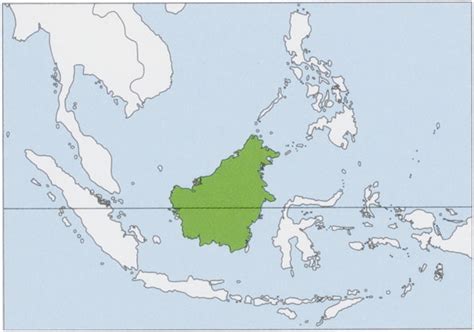 Distribution Borneo In Hystricidae