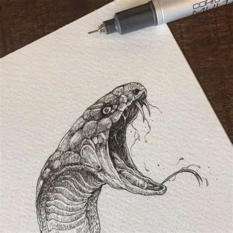 Shading Realistic Pencil Snake Drawing Snake Drawing On Tumblr