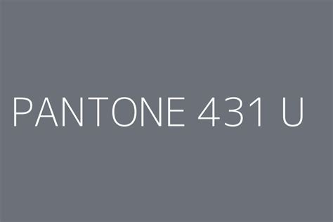 Pantone 431 U Color Hex Code