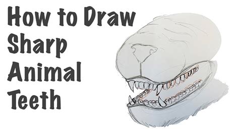 Learn how to draw hands and feet step by step with this. How to Draw Sharp Animal Teeth - YouTube