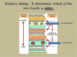 fossil dating pptis justin timberlake dating anna kendrick